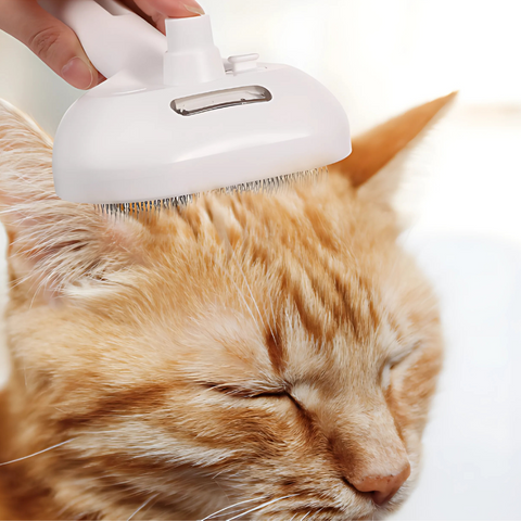 FurEase™ | Professionele Stoomborstel voor Honden & Katten
