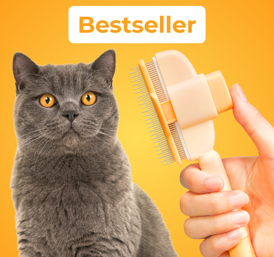 FurCare™ – De slimme borstel voor een haarvrij huis