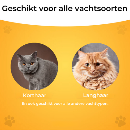 FurCare™ – De slimme borstel voor een haarvrij huis